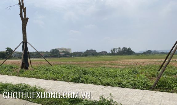 Transfer of nearly 7500m2 of commercial and service land in Hai Duong city 1