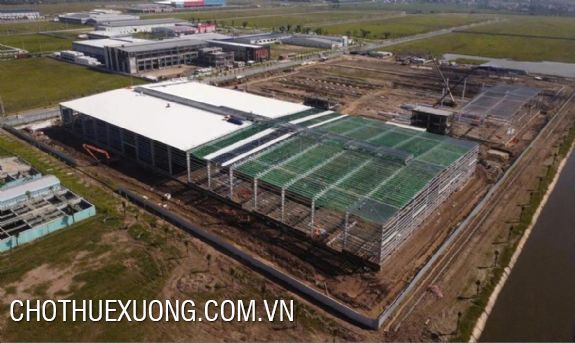 Cho thuê kho xưởng hiện đại từ 2000 m2 tại KCN Nam Đình Vũ, Hải Phòng 3