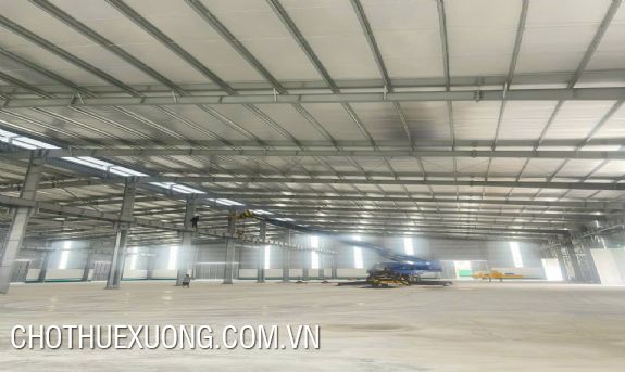 Warehouse for rent 5000m2 on road 379 Yen My, Hung Yen 3
