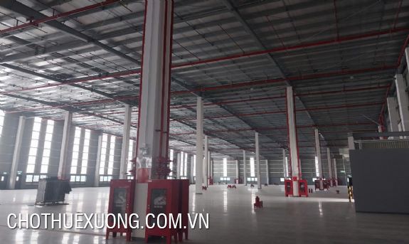 永福省平川市 Ba Thien 1 工業區廠房出租,面積 2,000 至 30,000 平方米 5