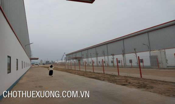 永福省平川市 Ba Thien 1 工业区厂房出租,面积 2000 至 30,000 平方米 2