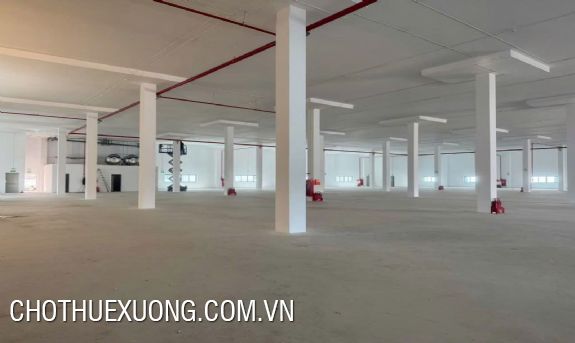 Cho thuê xưởng 16138m2 tại KCN Yên Phong 2C, Bắc Ninh 4
