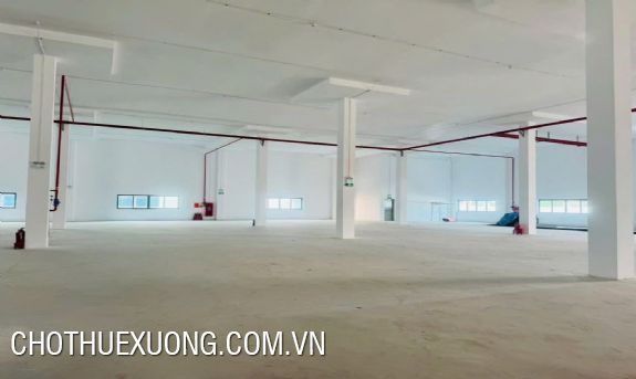 Cho thuê xưởng 16138m2 tại KCN Yên Phong 2C, Bắc Ninh 6