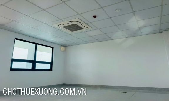 Cho thuê xưởng 16138m2 tại KCN Yên Phong 2C, Bắc Ninh 7