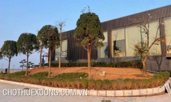 Transfer of land lease and infrastructure of 296.97ha in Hai Long Industrial Park, Thai Binh 5