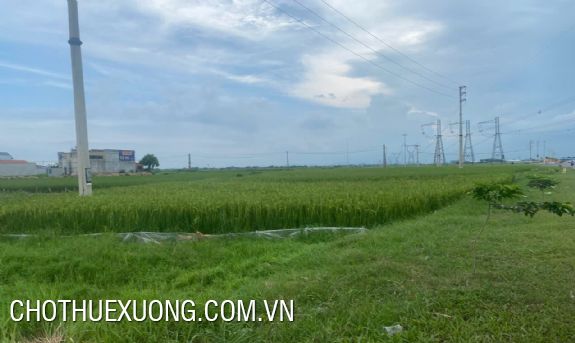 Chuyển nhượng Đất 5200m2 ở Quán Lào, Yên Định, Thanh Hóa 1