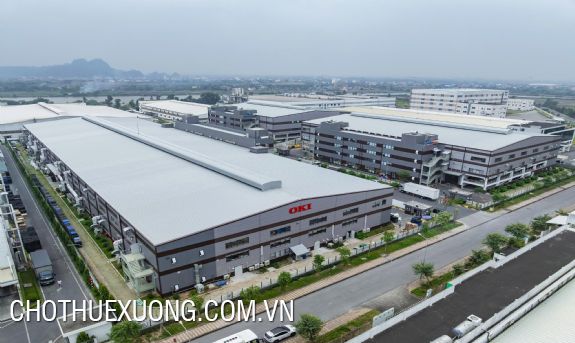 Cho thuê nhà xưởng trong KCN Tràng Duệ- Hải Phòng 1