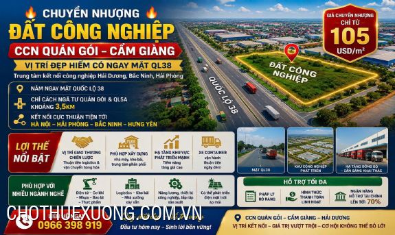 Chuyển nhượng đất từ 5000m2 tại Cụm CN Quán Gỏi, Cẩm Giàng- Hải Dương 1