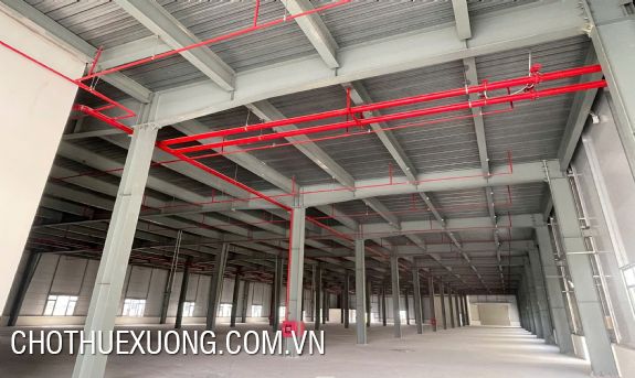 Cho thuê nhà xưởng 6800m2 tại KCN Thuận Thành 2- Bắc Ninh 3