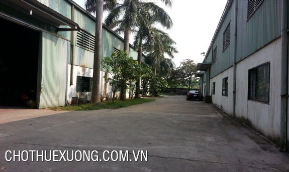 1300sqm factory for rent in Binh Xuyen, Vinh Phuc