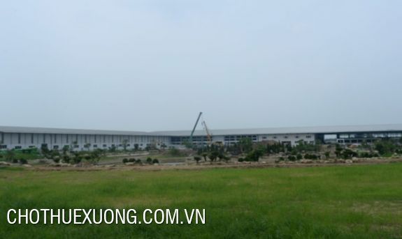 4200sqm land for sale in My Hao, Hung Yen with the cheap price