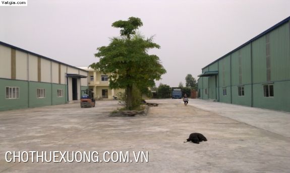 Factory, warehouse for rent in Quoc Oai, Ha Noi