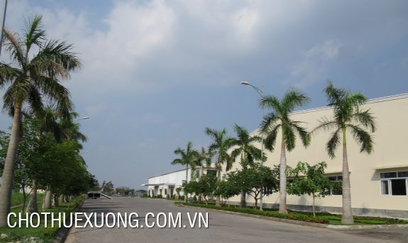Factory for rent in Thanh Oai, Ha Noi at the best price