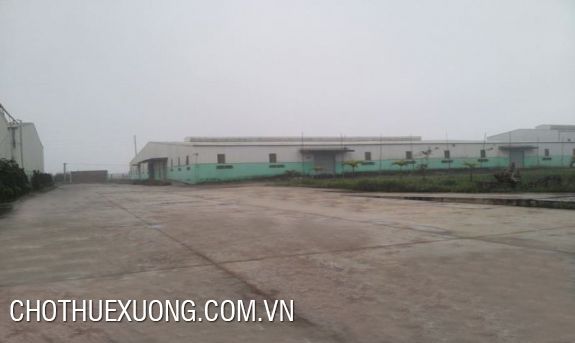 Factory for lease in Duong bridge, Gia Lam, Ha Noi