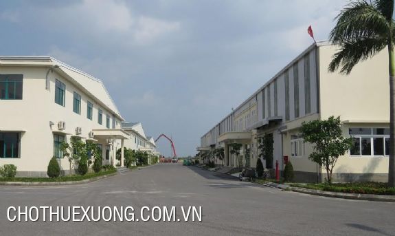 Two factories for lease in Binh Xuyen industrial Park