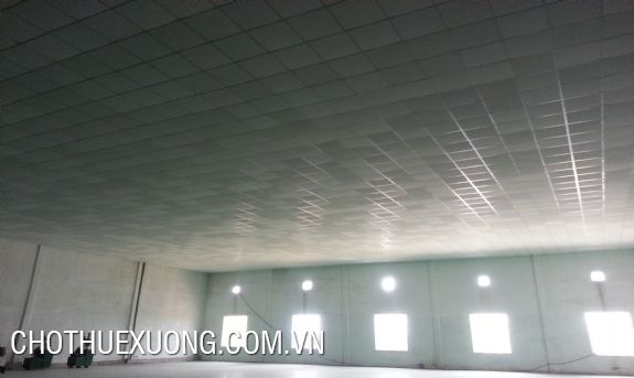 Factory for lease in Hop Thinh industrial zone, Vinh Phuc
