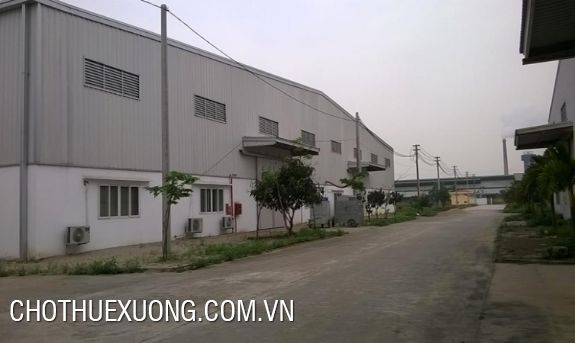 4000sqm factory for lease in Binh Xuyen, Vinh Phuc