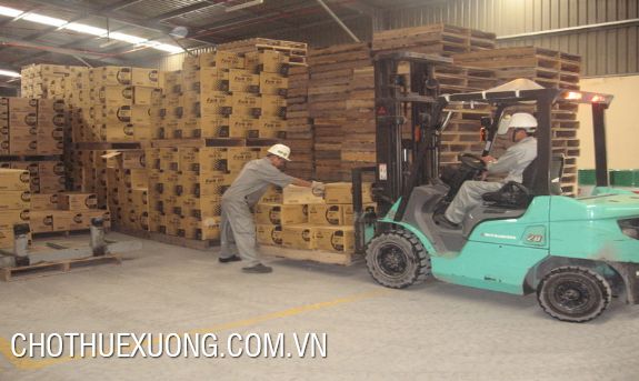 Warehouse for lease in Hoang Cau, Dong Da, Ha Noi