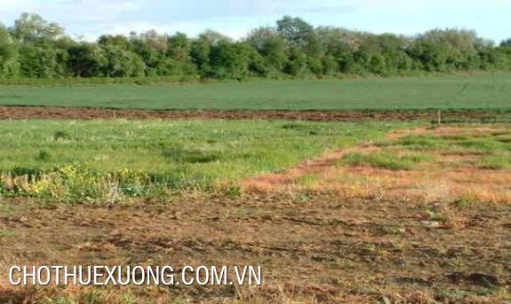 Industrial land for rent in Chuong My, Ha Noi