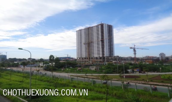 Industrial land for rent on the pavement of Thang Long Boulevard