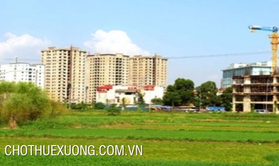 10000sqm land for lease in Nguyen Khe, Dong Anh, Ha Noi