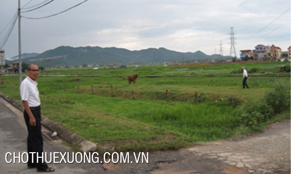 Land for sale near Dinh Tram industrial zone, Bac Giang