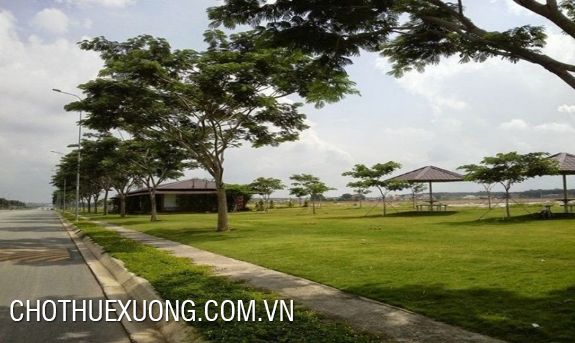 1,9 hectares land for sale in Thuan Thanh, Bac Ninh
