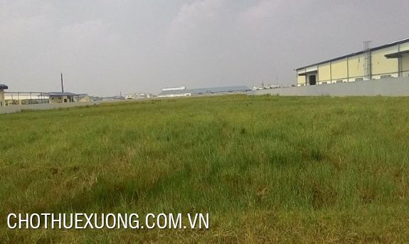 Industrial land for sale in Tan Truong industrial park, Cam Giang, Hai Duong