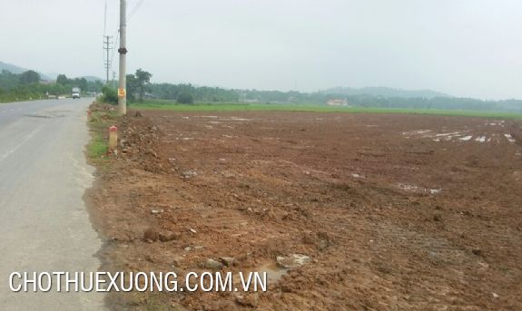 Vacant land for lease in Thanh Oai industrial zone, Hanoi