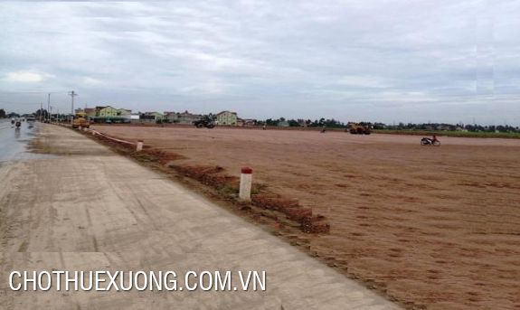 50-year industrial land for sale in Ninh Giang, Hai Duong