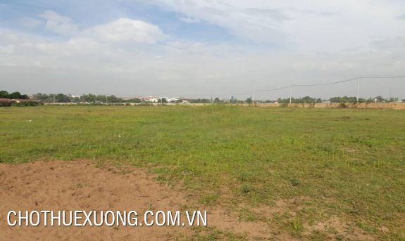 宁平市富山工业区出租3公顷工业用地