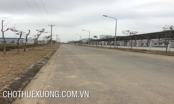 5000sqm land for sale in Luong Dien industrial cluster, Hai Duong