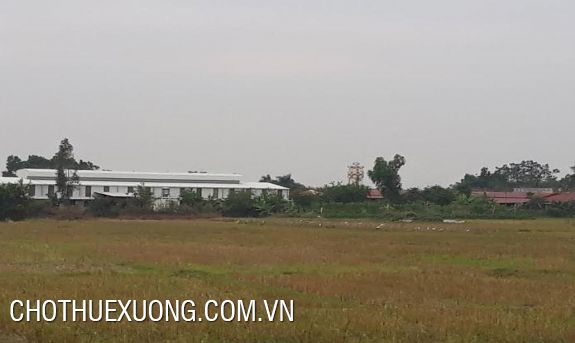 1ha land for lease in Tam Hop, Binh Xuyen, Vinh Phuc