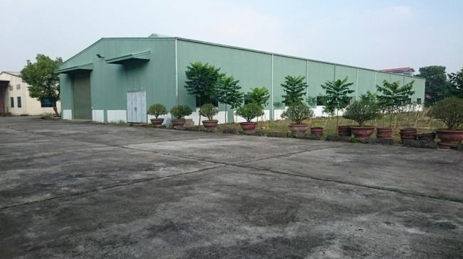 Xưởng Cho Thuê DT 1800m2 Tại Quán Gỏi, Bình Giang, Hải Dương