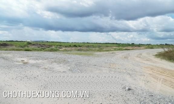1.1ha land for sale in Nhan Quyen, Binh Giang, Hai Duong