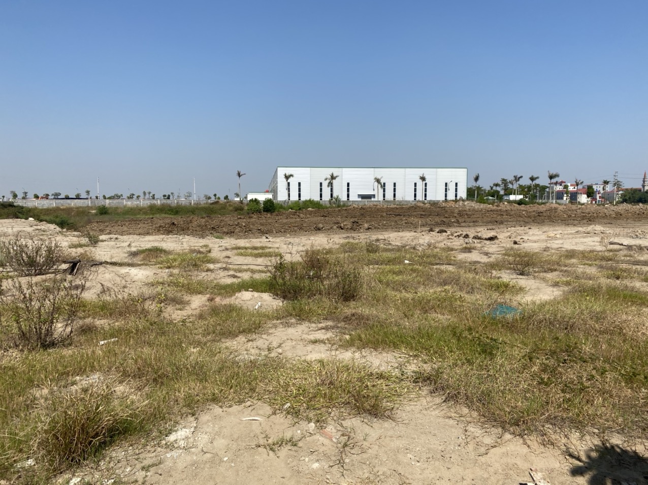 河内清池县玉洄9000m2工业土地转让
