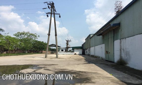 富寿省土地出租45.000m2