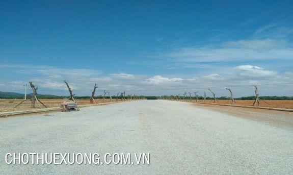 Land for lease in Tam Anh industrial park, Quang Nam 150ha