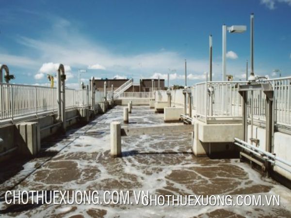 Land for sale in Minh Quang industrial zone, Hung Yen