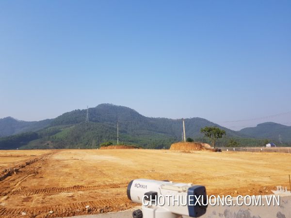富寿省清山县4.1公顷土地出售