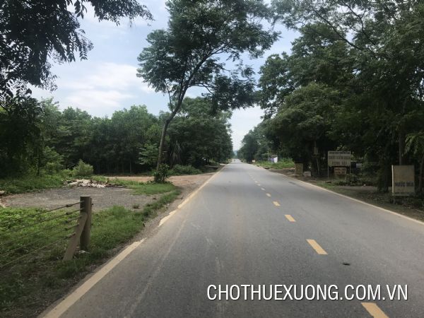和平省乐水县3公顷土地出售