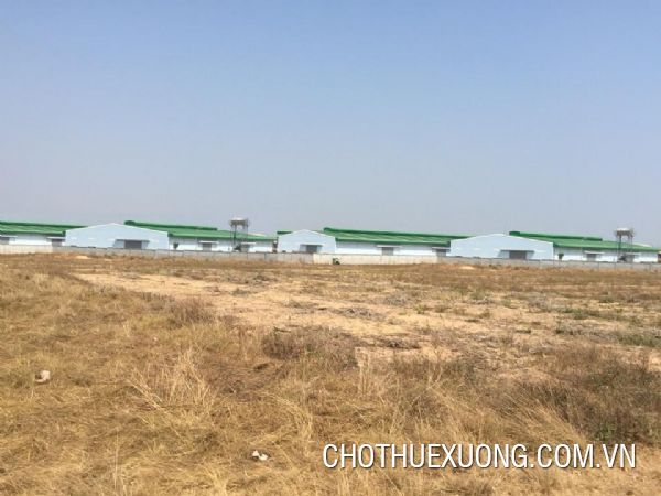 兴安省美豪县有厂房的2公顷土地出售