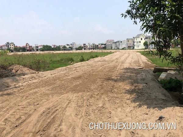 北江省新安县1.9公顷生产土地转让