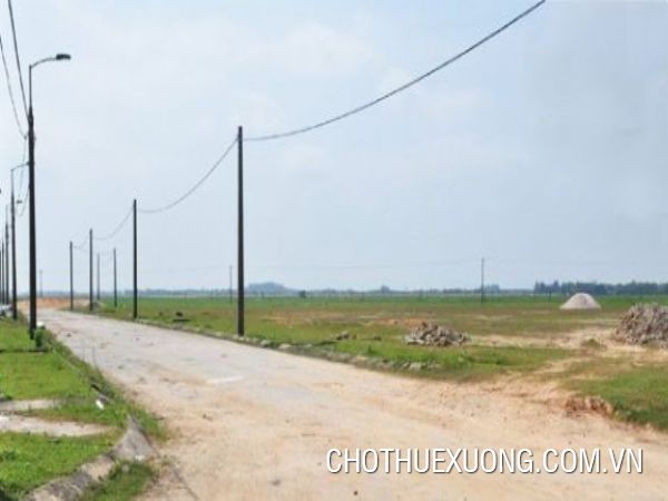 海阳省宁江县4公顷土地出售