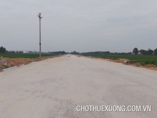 Chuyển nhượng 6.000m2 tại Cụm CN Yên Dương, Nam Định