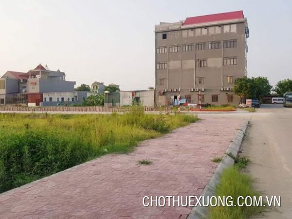 15,500sqm production land for sale near Tu Ky Hai Duong