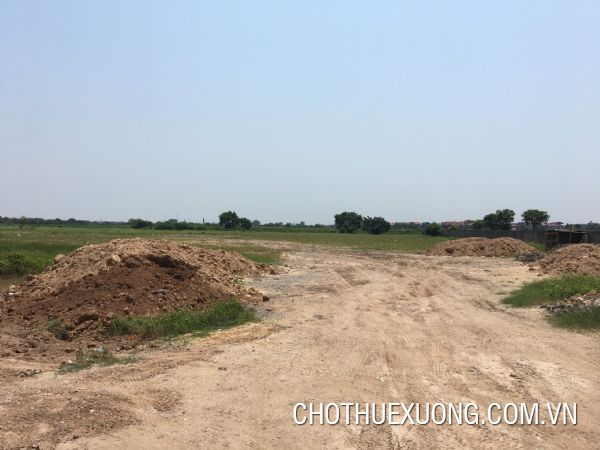 40,000sqm land for sale in Ninh Giang, Hai Duong