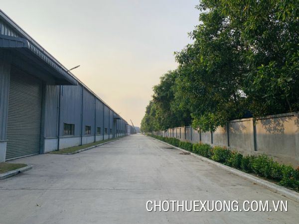 海防市Nam Cau Kien 工业园6000平米厂房出租