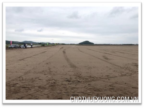 海阳省清河县1公顷的土地转让