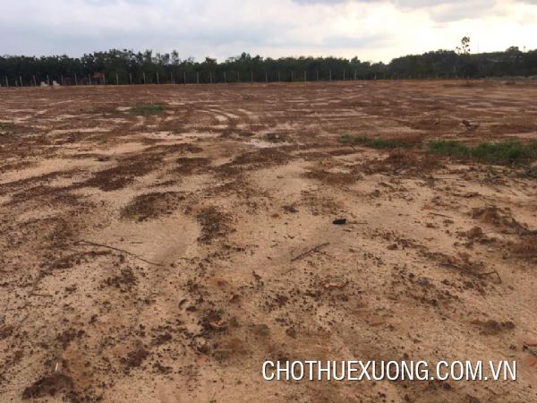 北宁顺城3工业区1公顷的工业土地出售